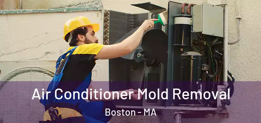 Air Conditioner Mold Removal Boston - MA