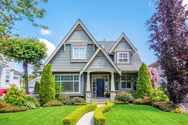 Black Mold Clean Up in Boston, MA