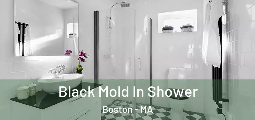  Black Mold In Shower Boston - MA