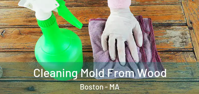  Cleaning Mold From Wood Boston - MA