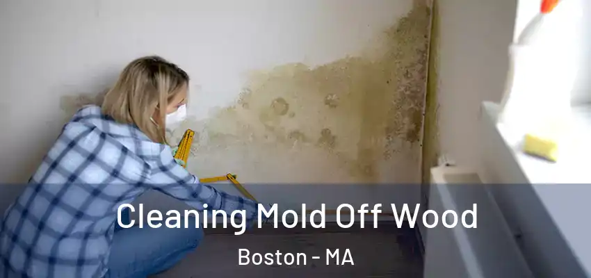  Cleaning Mold Off Wood Boston - MA