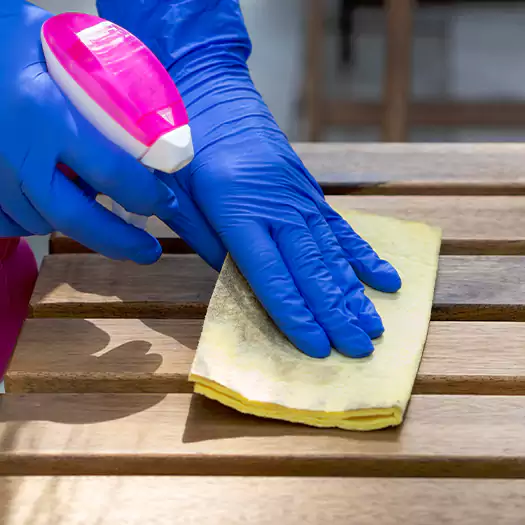 Trusted Cleaning Mold From Wood Specialists in Boston, MA