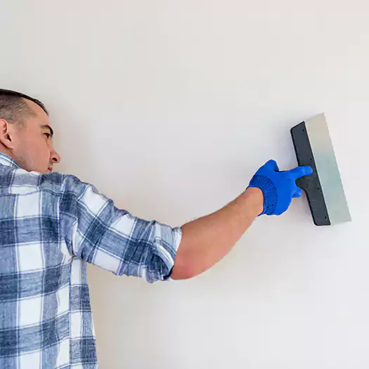 Skilled Mold on Drywall Experts in Boston, MA