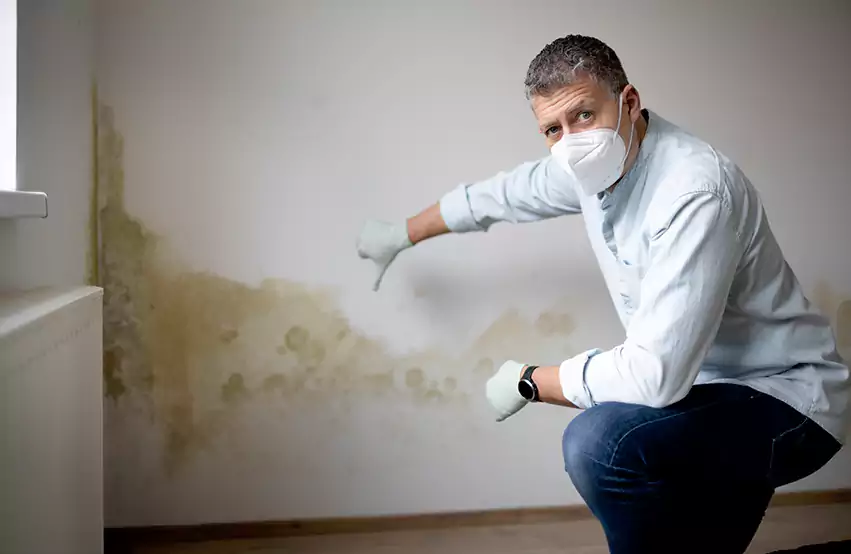 Mold Removal in Boston, MA