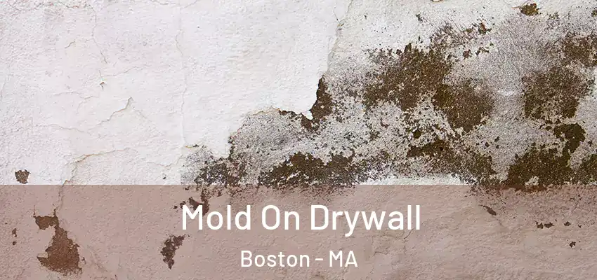 Mold On Drywall Boston - MA